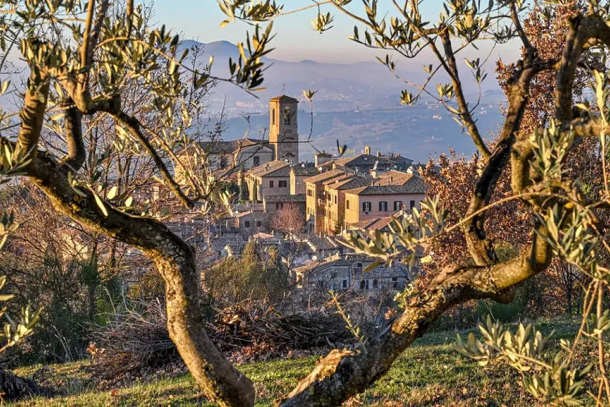 Un borgo medievale in Umbria, dove andare per un viaggio indimenticabile tra ulivi secolari e colline dolci.